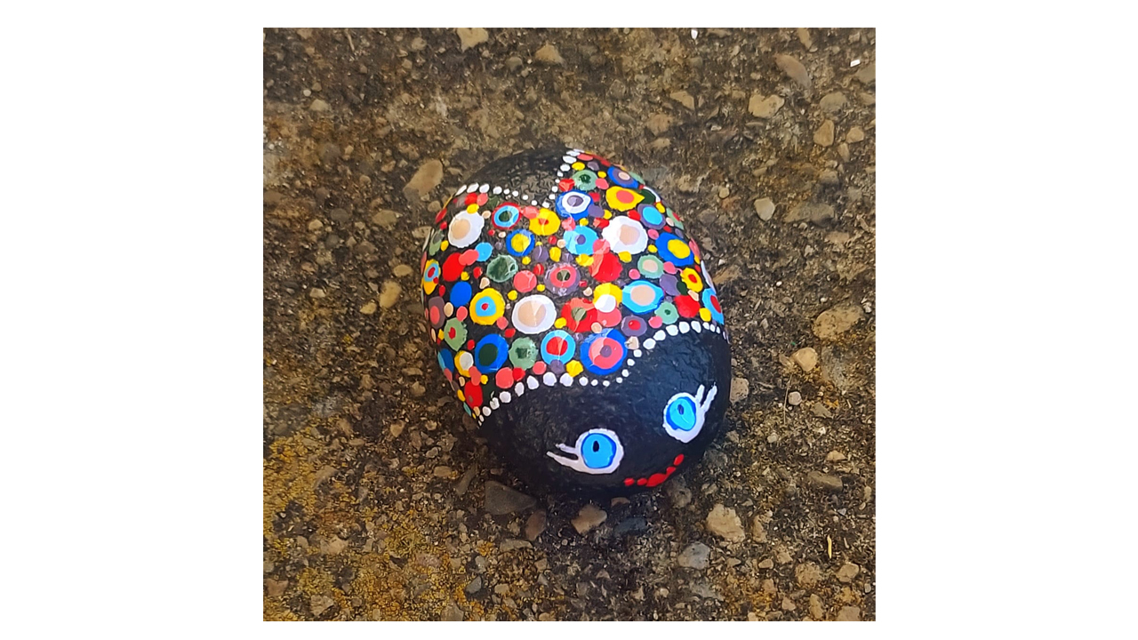 imagen piedra pintada